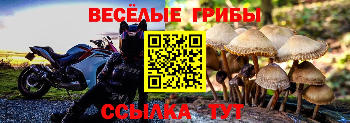 Псилоцибиновые грибы MAGIC MUSHROOMS Железногорск